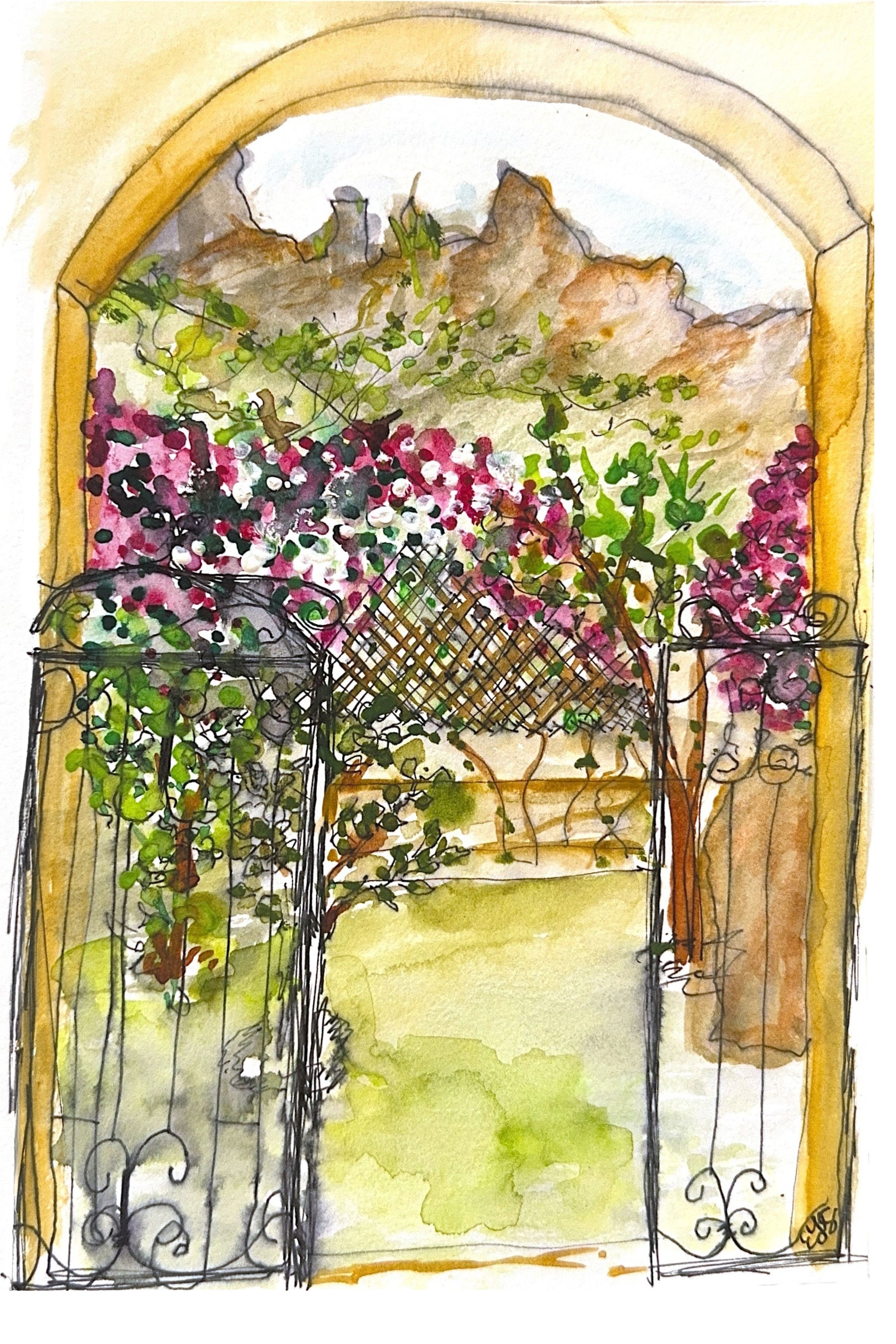 The Garden